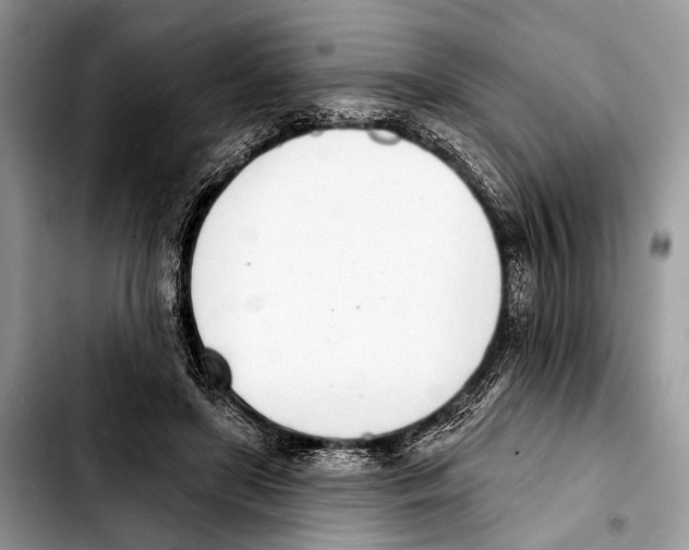 X0000103440451200810101109