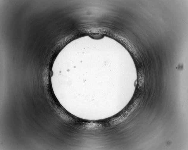 X0000103440453200810101109