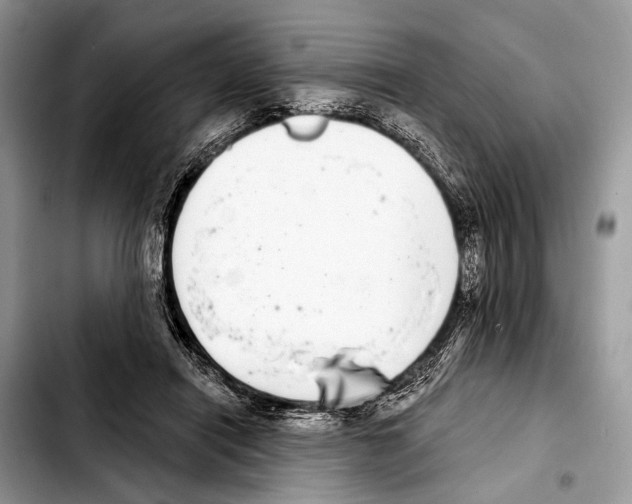 X0000103440454200810101109