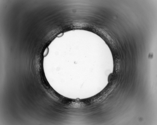 X0000103440455200810101109