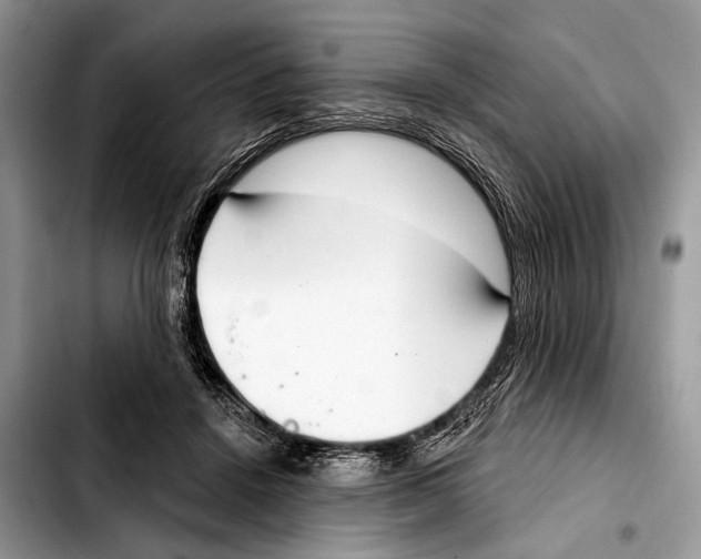 X0000103440456200810101109