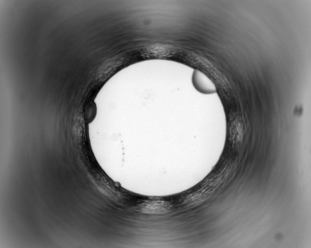 X0000103440459200810101109