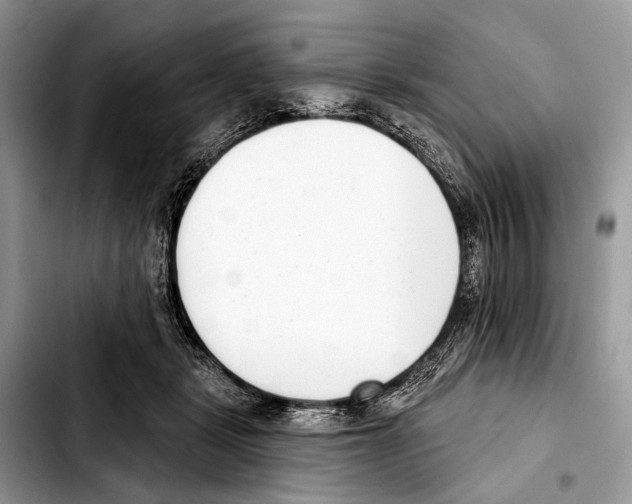 X0000103440461200810101109