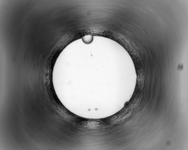 X0000103440462200810101109