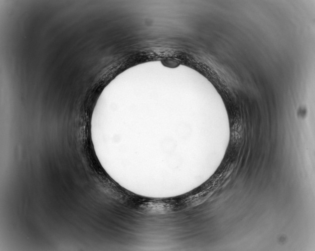 X0000103440464200810101109
