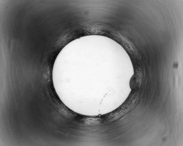 X0000103440465200810101109