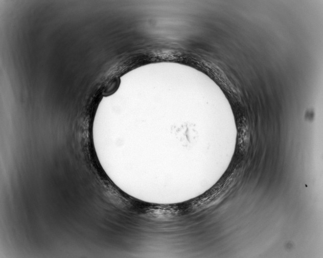 X0000103440466200810101109