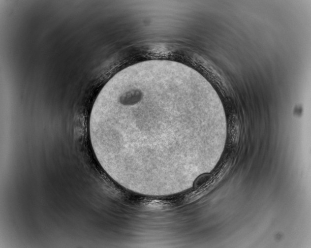 X0000103440467200810101109