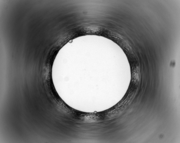 X0000103440468200810101109