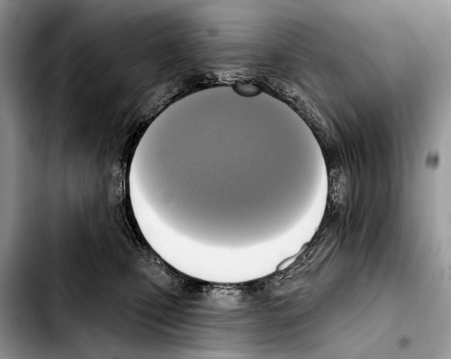 X0000103440471200810101109