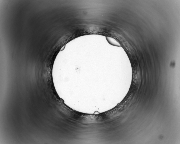 X0000103440473200810101109