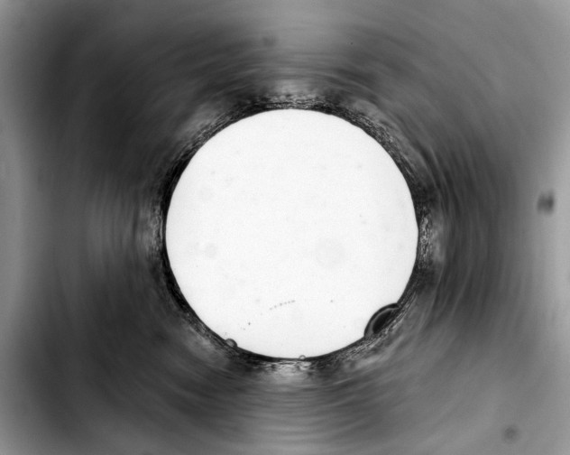 X0000103440474200810101109
