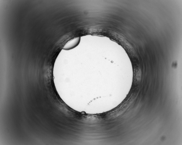 X0000103440475200810101109