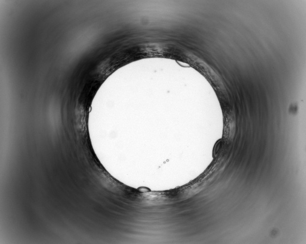 X0000103440477200810101109
