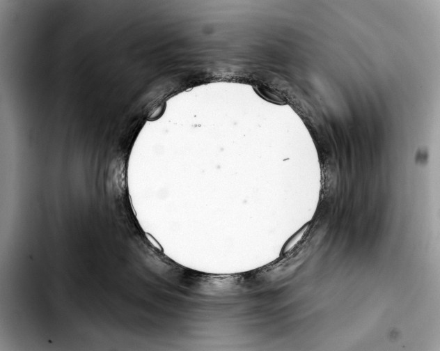X0000103440479200810101109