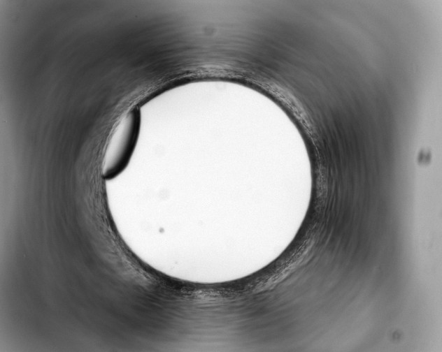 X0000103440481200810101108
