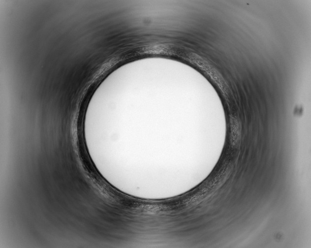 X0000103440482200810101108