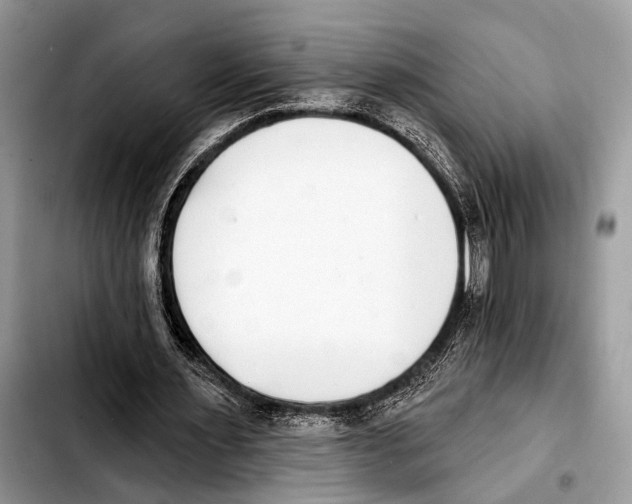 X0000103440483200810101108