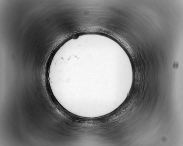 X0000103440485200810101108