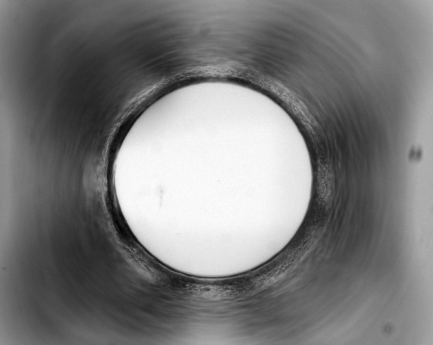 X0000103440486200810101108