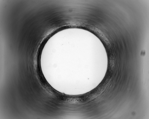 X0000103440488200810101108