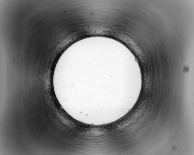 X0000103440489200810101108
