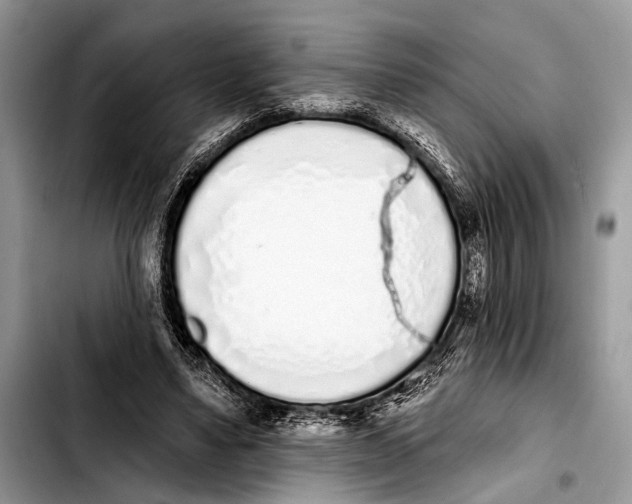 X0000103440491200810101108