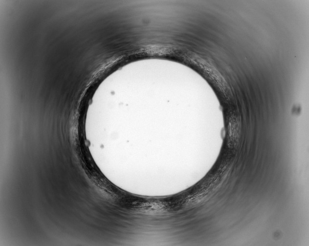 X0000103440492200810101108