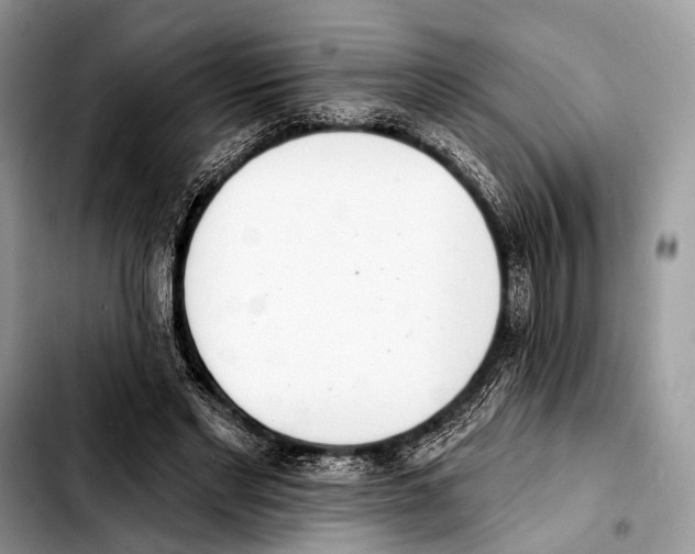 X0000103440493200810101108