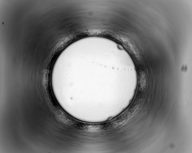 X0000103440495200810101108
