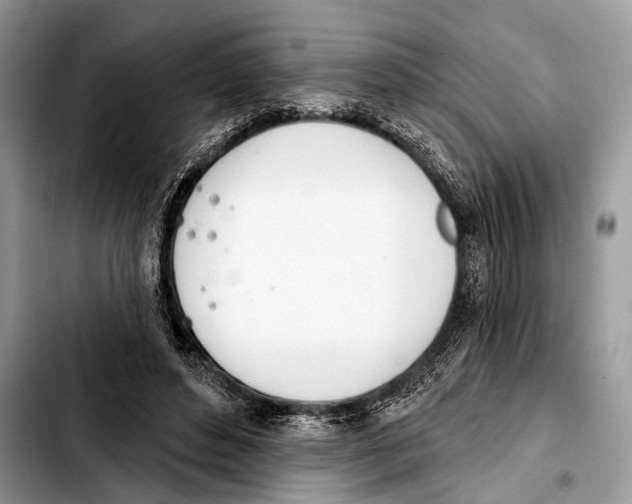 X0000103440496200810101108