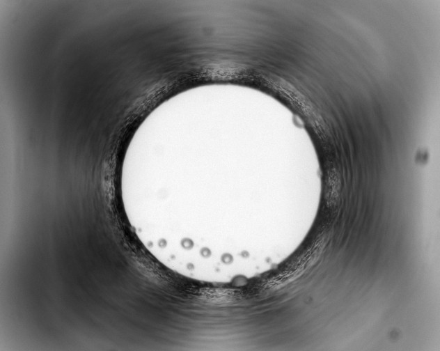 X0000103440497200810101108