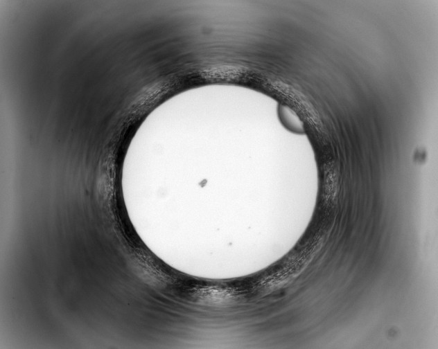 X0000103440498200810101108