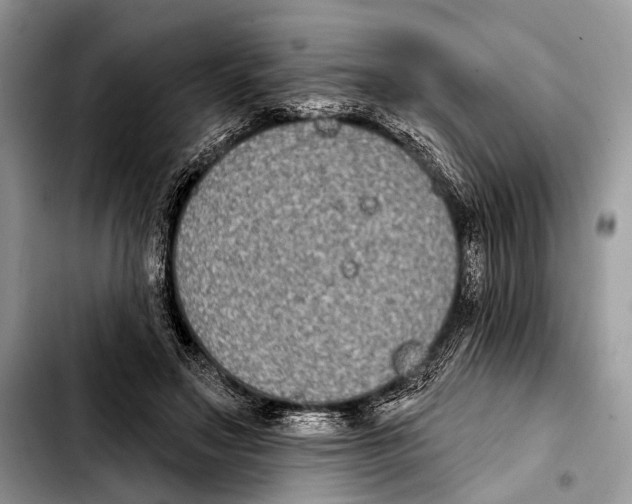X0000103440499200810101108