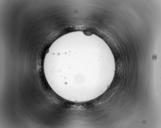 X0000103440502200810101108