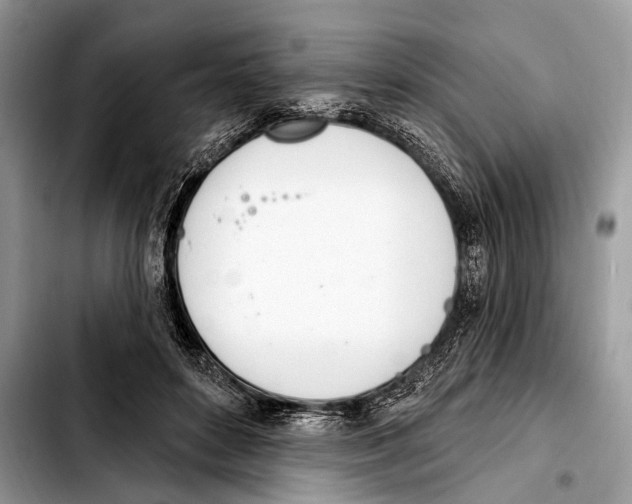 X0000103440504200810101108