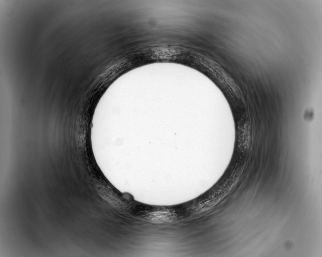 X0000103440505200810101108