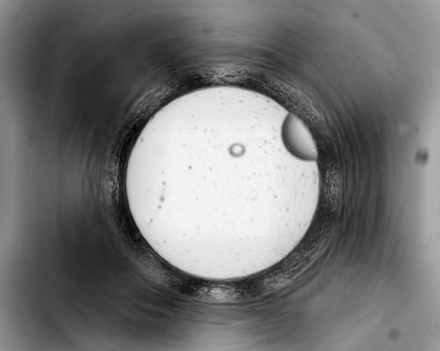 X0000103440506200810101108