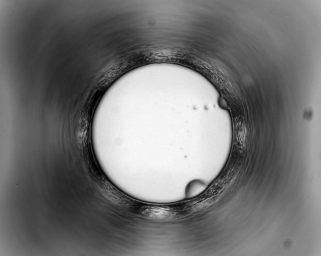 X0000103440507200810101108