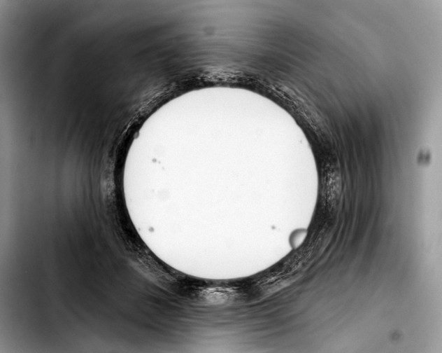 X0000103440508200810101108