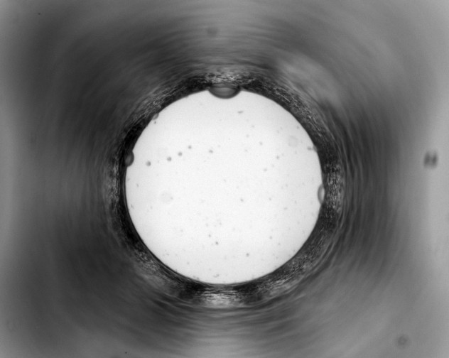 X0000103440510200810101108