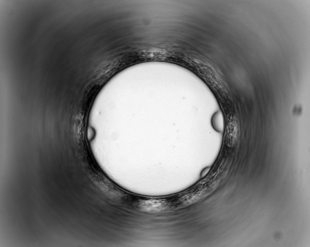 X0000103440511200810101108