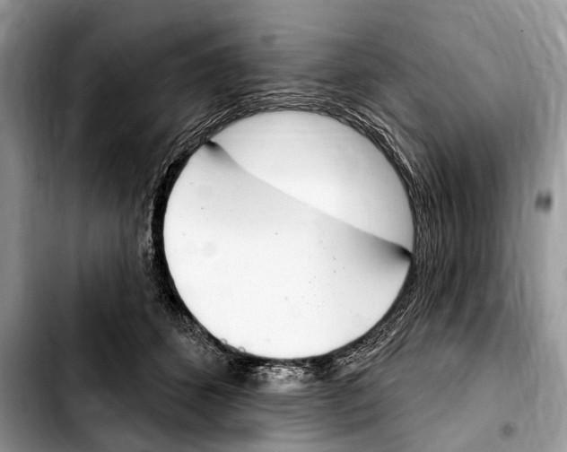 X0000103440512200810101108