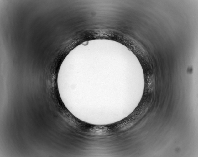 X0000103440514200810101108