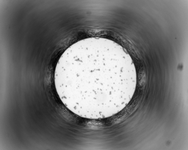 X0000103440515200810101108