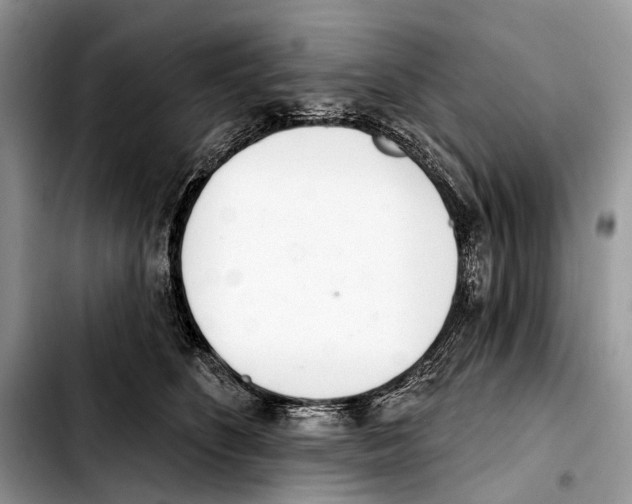 X0000103440516200810101108