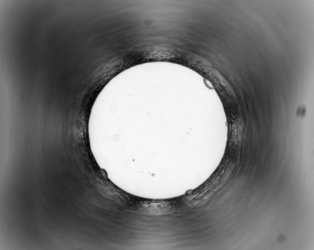 X0000103440517200810101108