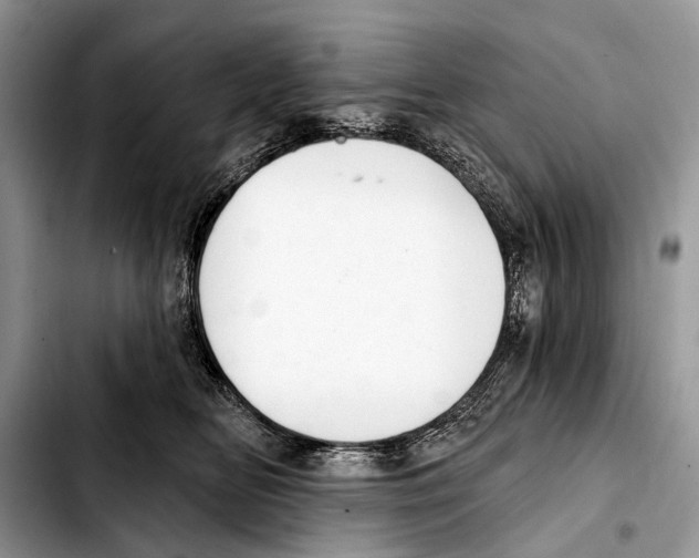 X0000103440518200810101108