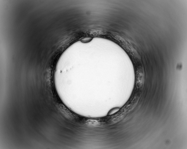 X0000103440519200810101108