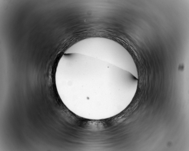 X0000103440520200810101108